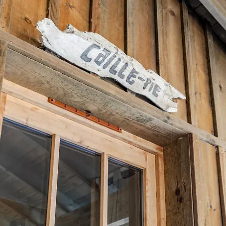 Vila Bois Typique Du Bassin Avec Piscine Chauffee Au Bord Du Lac, La Gde Escoure *